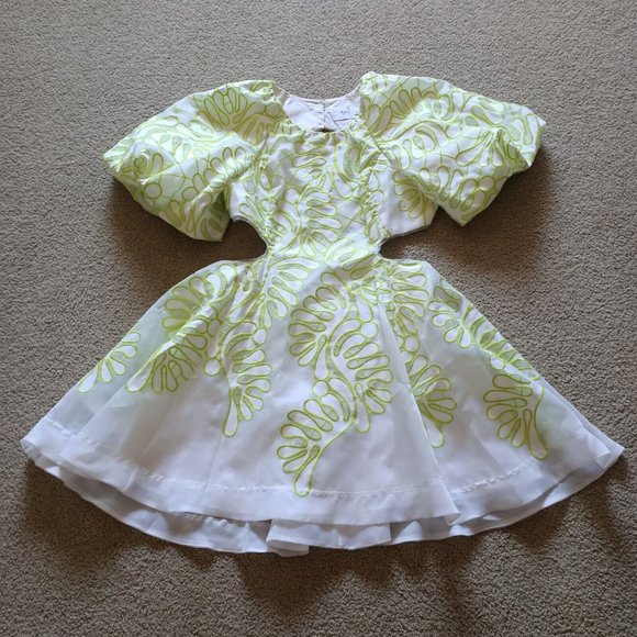 Aje Botanical Applique Mini Dress - Size AU 16 / US 12 - Picture 4 of 16